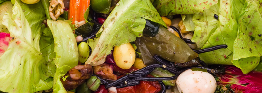 How to create a Food Waste Compost