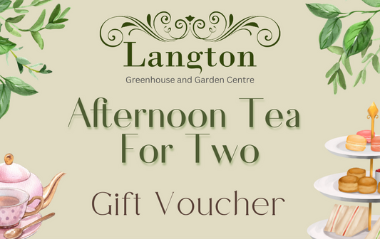 Langton Greenhouse Afternoon Tea eVoucher