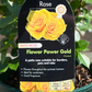 Whartons - Flower Power Gold - Golden Yellow - Patio - 3L