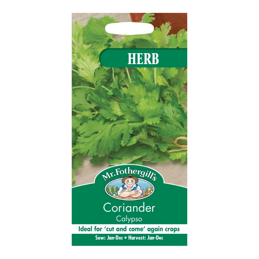 Mr Fothergill's - Coriander Calypso Herb Seeds