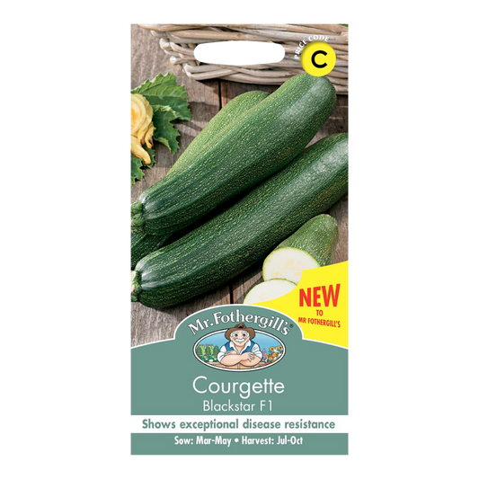 Mr Fothergill's - Courgette Blackstar F1  Vegetable Seeds