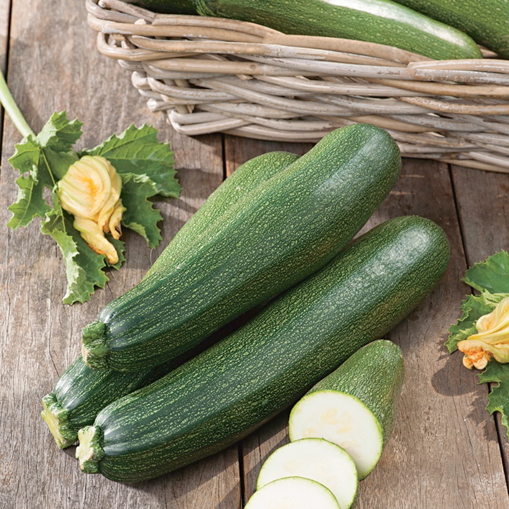 Mr Fothergill's - Courgette Blackstar F1  Vegetable Seeds