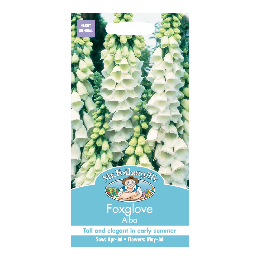 Mr Fothergill's - Foxglove Alba Flower Seeds