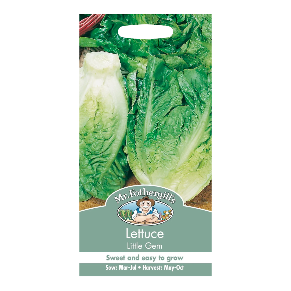 Mr Fothergill's - Lettuce Little Gem Seeds