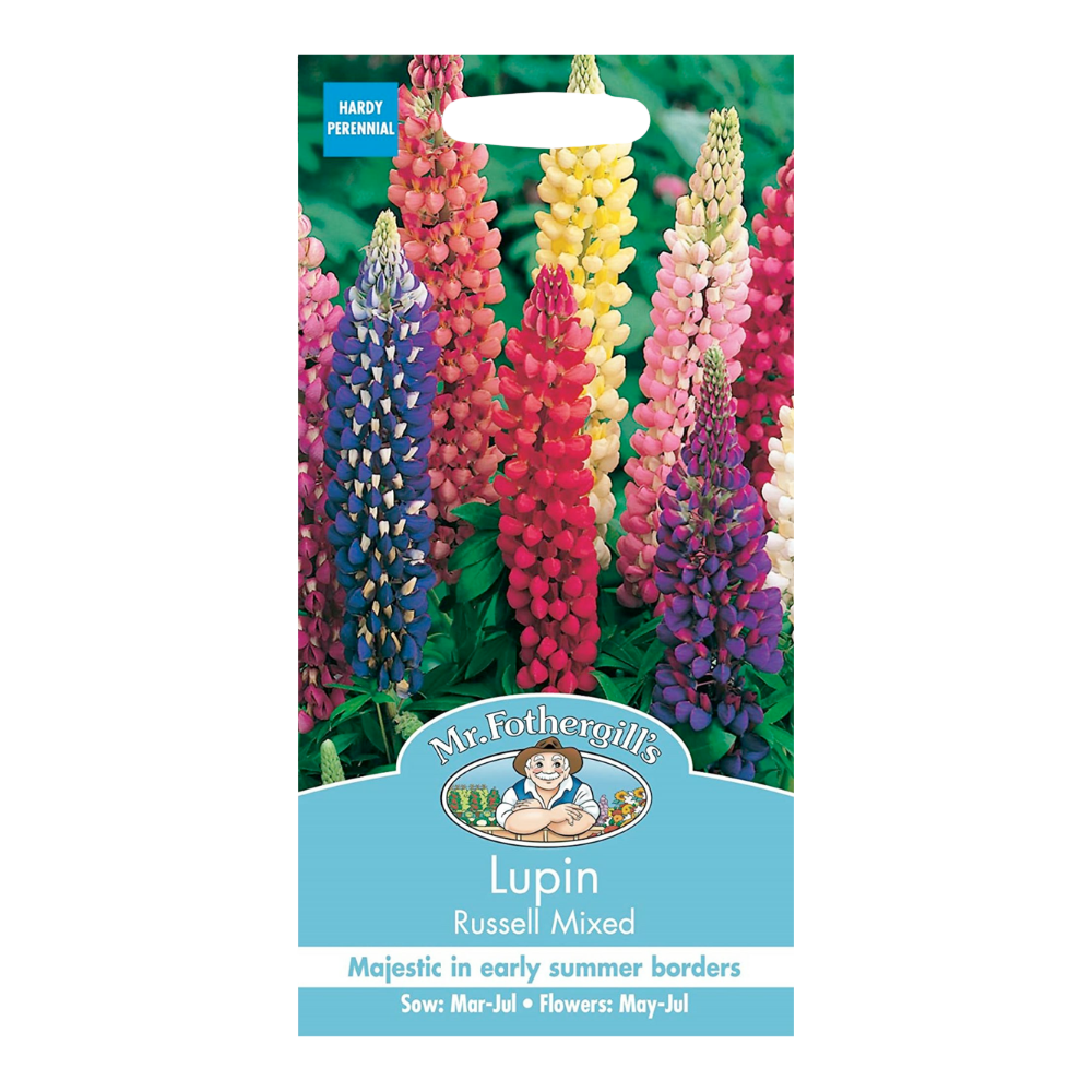 Mr Fothergill's - Lupin Russell Mixed Flower Seeds