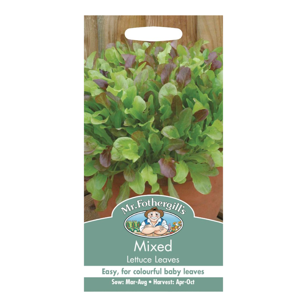 Mr Fothergill's - Mixed Lettuce Leaves Seeds