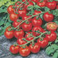 Mr Fothergill's - Tomato Red Cherry Seeds