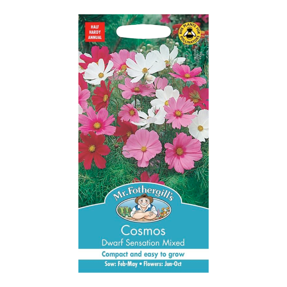 Mr Fothergill's - Cosmos Dwarf Sensation Mixed Flower Seeds