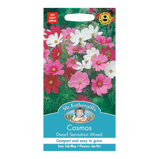 Mr Fothergill's - Cosmos Dwarf Sensation Mixed Flower Seeds