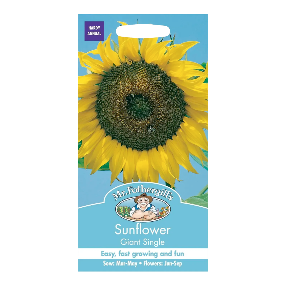 Mr Fothergill's - Sunflower Giant Single Flower Seeds